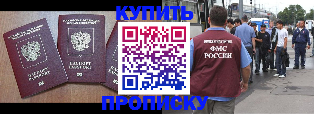 прописка 2025 в Чкаловске